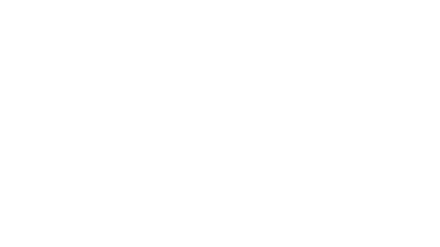 Brio